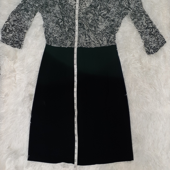 Express Dress - Picture 4 of 6